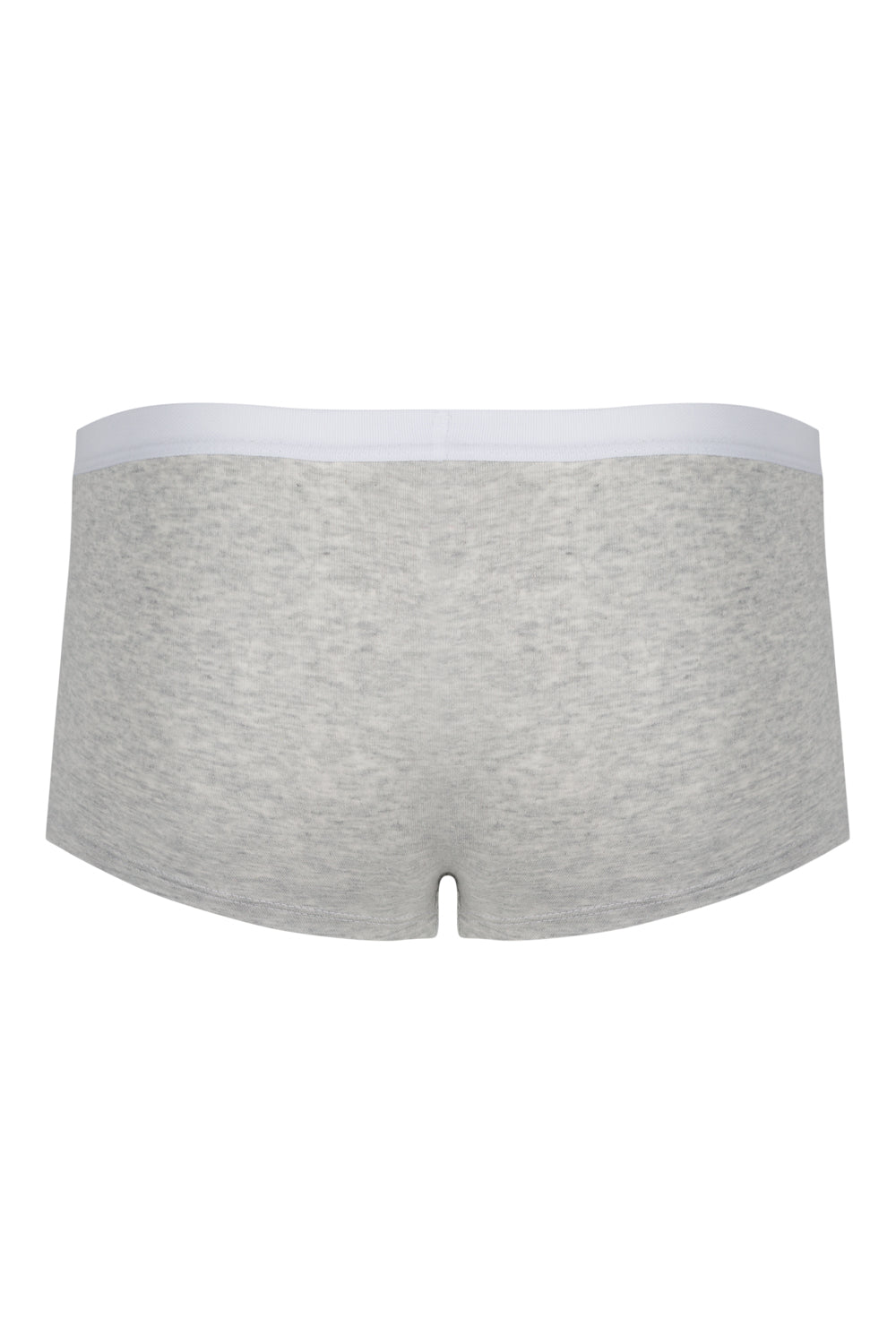 Gray boxer briefs with a white waistband on a white background